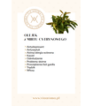 Naturalny Olejek Eteryczny z Mirtu Cytrynowego